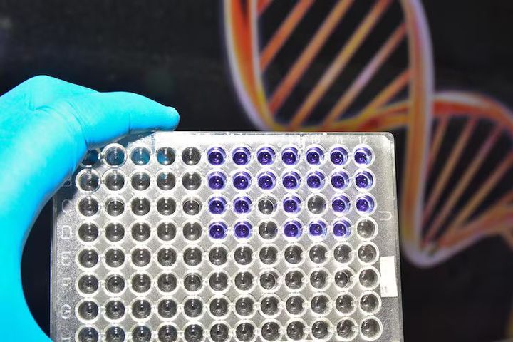 Understanding TNF Alpha ELISA Kits for Cytokine Quantification in Biomedical Research