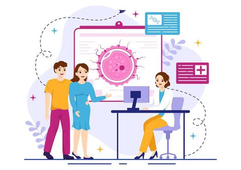 Understanding IVF Treatment: Fertility Evaluation, Embryo Transfer, and Pregnancy Success Factors