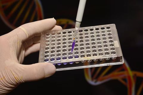 Comprehensive TNF Alpha ELISA Kit Insights for Immunology, Cell Biology, and Disease Research